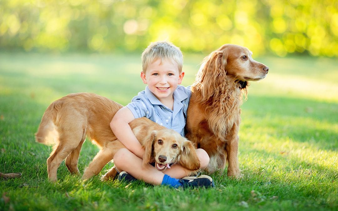 Here’s why you should include your pets in your family portraits