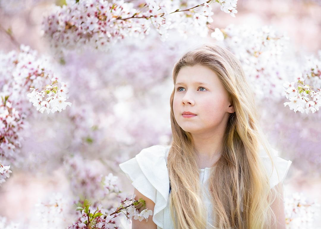 Girl photographed in the cherry blossom at the Botanical Garden in Cambridge