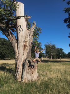 boy jumping out of a tree on a summer day