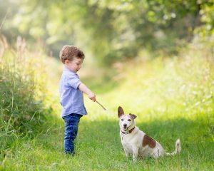 boy with a stick playing with his pet dog during a mini photoshoot in shoot Cambridgeshire