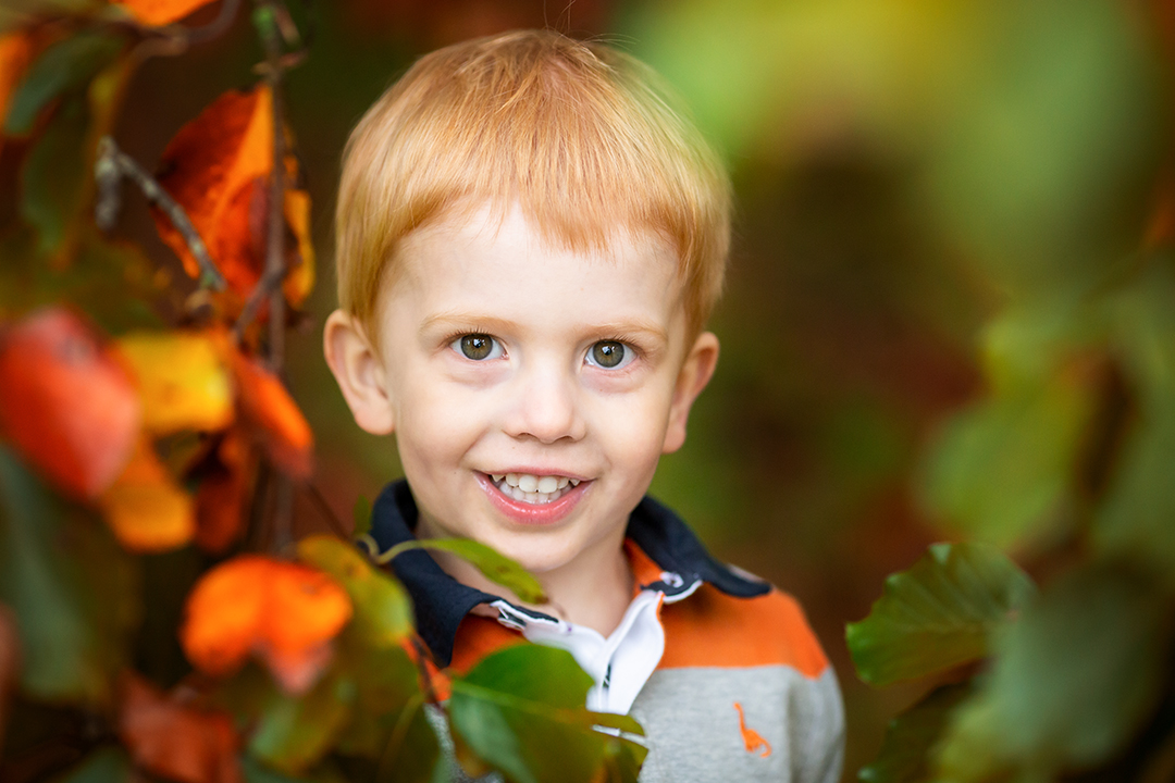 Toddler peeking through Autumn leaves during a photo shoot in Cambridge